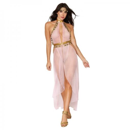 Dreamgirl Snake Charmer Costume Skirted Mesh Teddy With Gold Disc Accents Headpiece Pink O S