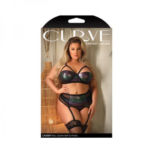 Fantasy Lingerie Curve Cassidy Cage Bra Garter Belt Panty Black