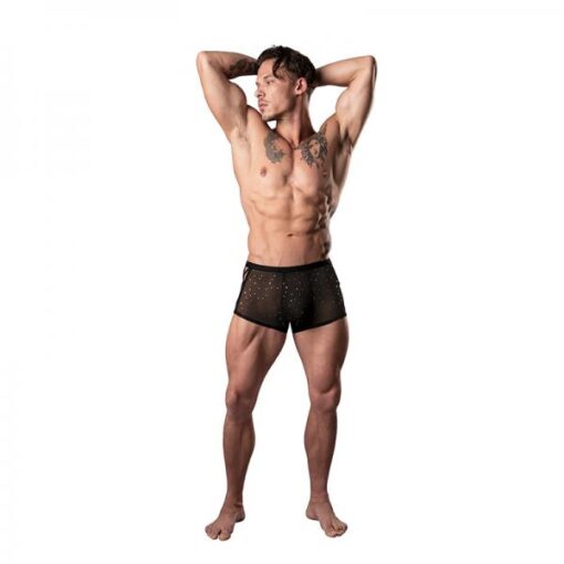 Male Power Show Stopper Mini Short Silver Mesh Dot