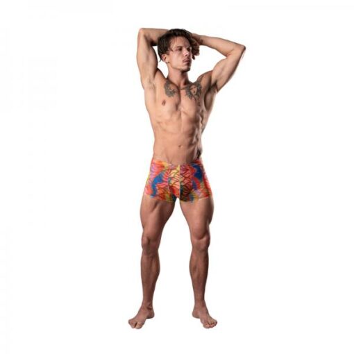 Male Power Your Lace Or Mine Pouch Short Multicolor